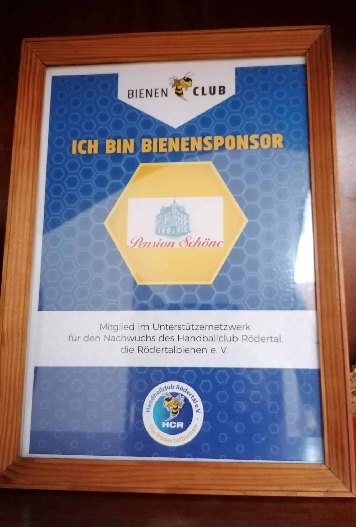 Pension Schoene Grossrohrsdorf Экстерьер фото